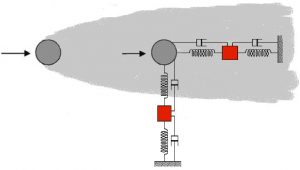 The layout of the experiment.