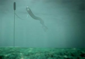 Fig. 1 - Artist's impression of the Anaconda wave energy converter (image provided by Checkmate SeaEnergy Ltd).